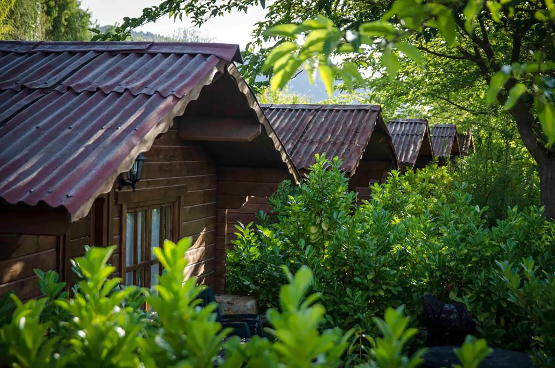 Bungalows de madera de Fuente del Lobo en Sierra Nevada